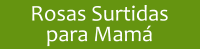 Rosas Surtidas para Mam�